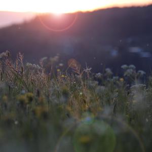 国产成人无码网站m3u8
